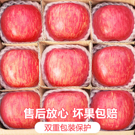 Jingdi Dalochuan apple net weight 8.5Jin Jin is equal to 0.5kg single fruit 250g + Shaanxi Red Fuji apple fruit straight from the source