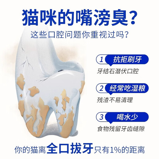 LEGENDSANDY Freeze-Dried Meat Teeth Cleaner FUN Series Cat Teeth Cleaner Squab Cat Food Kitten Cat Snack Mixed Flavor 60g Raw Bone Meat Freeze-Dried Teeth Cleaner