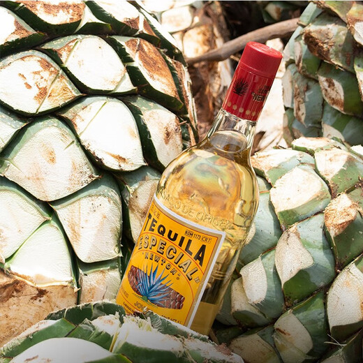 Aubecks sechs große Basisweine DIY Cocktails und ausländische Weine, Whisky Brandy Vodka Tequila Gin Flasche importiert [fünf große Basisweine 2] 5 Flaschensets, um Geschenke zu geben