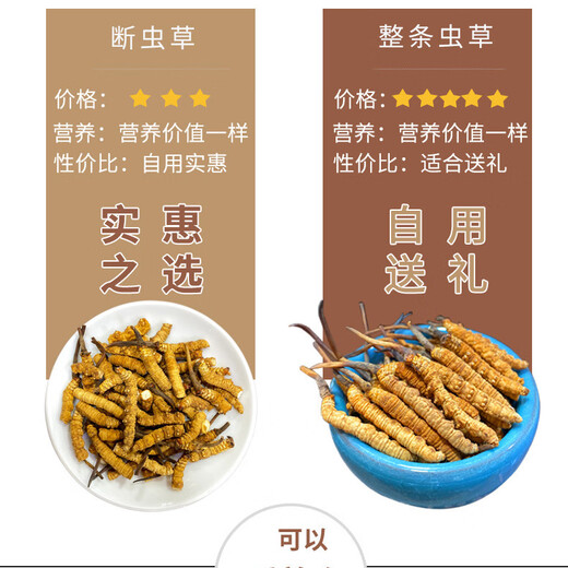 Tíbet Nagqu a alta altitud Cordyceps sinensis Selección Enlace de roto grande Cordyceps Caja de regalo de productos secos genuinos para el uso autoalimentable Asequitable Nagqu de alta altitud carne pura 20 gramos [2 gramos de gratis]