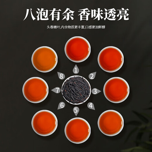 陈一凡鸭屎香凤凰单丛 茶叶广东潮州乌龙茶凤凰单枞新茶春茶袋装 【实惠装】 250g*2袋