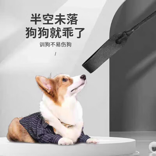 Kavatu dog training stick, dog training stick, dog training stick, pet dog training whip, large and small dog whip, snap whip equipment, pet supplies