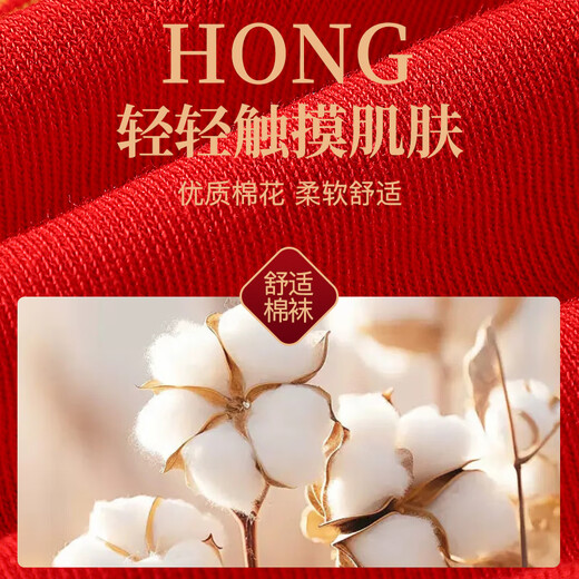 Cat Man Red Underwear Men's Zodiac Year Horse Year Men's Boxer Briefs Cotton Youth Antibacterial Boxer Briefs Red Socks Combination