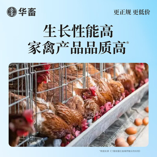 Huaxiu Veterinary Live Bacteria plus Enzyme Probiotics Appetizer Fattening Conditioner Intestinal Ammonia Removal Poultry Feed Additive for Pigs Test Model Do Not Shoot