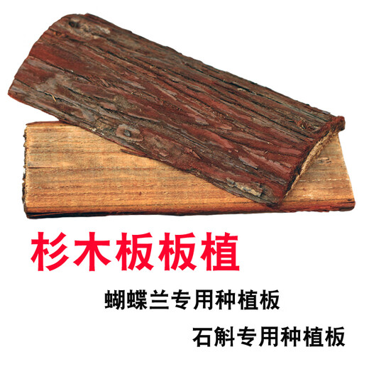 Bark Dendrobium planting material wooden stake snake wooden board hanging tree bark board spider plant special planting board moss tree stump snake wooden board Specifications15252cm 1 piece beat 1