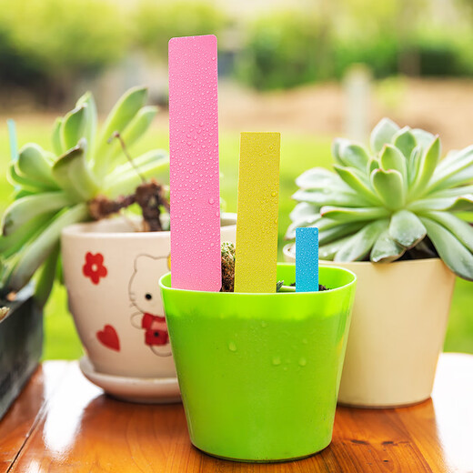 Benxinnong garden succulent plant plastic ground sign one-line label flower succulent gardening ground sign 10x2 (white) one thousand pieces