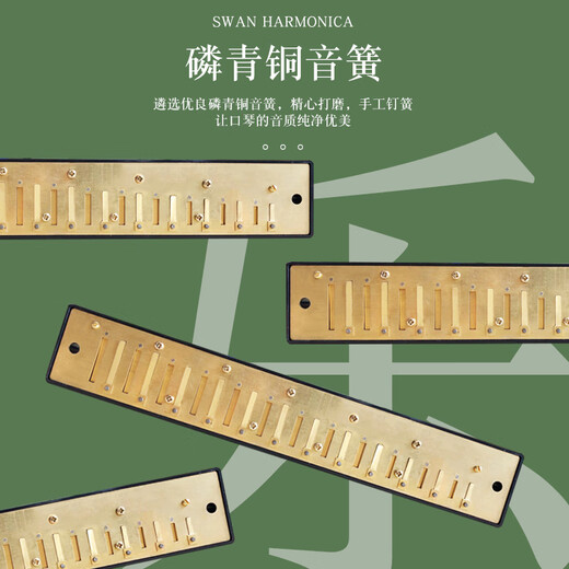 天鹅（SWAN）口琴初学者24孔28孔入门儿童复音成人演奏级重音C调口琴 10孔 布鲁斯红色+