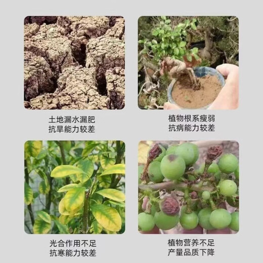 Soil loosening agent, loosening essence, no deep tillage, soil activator, universal fertilizer, imported raw materials, 100 times effective. 5Jin Jin is equal to 0.5kg.
