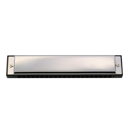 Tongbao 21 hole polyphonic harmonica for children adult beginners C tune introductory playing musical instrument imported gong 6621 hole 21 hole - #D (E flat) tune