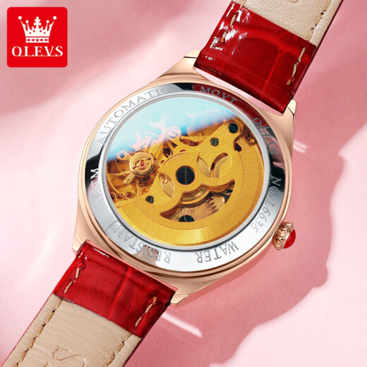 Swisss Swisss Swiss Swiss Watch Watch Женские полностью автоматические механические часы модные водонепроницаемые национальные часы для подруги 6636 Red Skin White Face [Подарочная коробка]