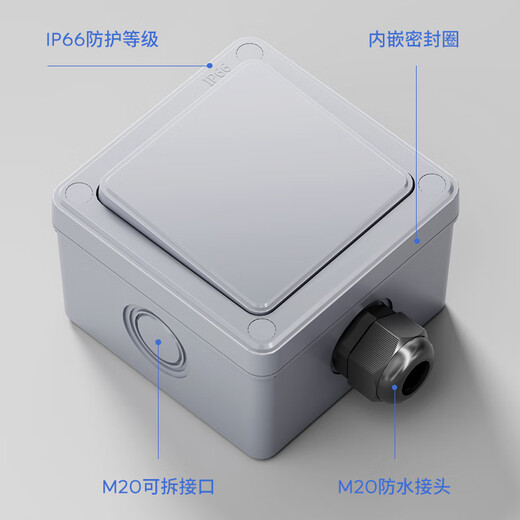 International electrician outdoor waterproof switch IP66 outdoor waterproof box surface-mounted rainstorm light power supply dual control protection one-on switch