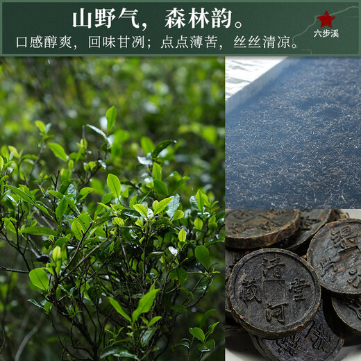 Little Senior Sister Reviews Tea 2017 Six Steps Linglong Tianjian Flake 6g*10 Anhua Black Tea Standard
