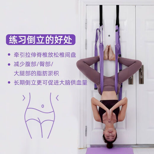天启世纪DL胖东来品质倒立拉伸器多功能空中瑜伽吊绳第三代后弯倒立下腰训 紫色二代升级加强高承重 赠收纳袋