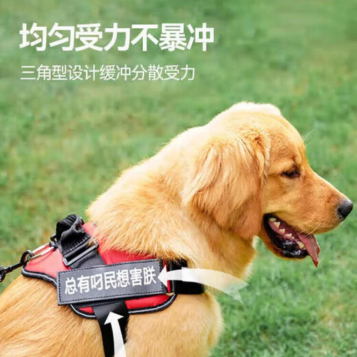 Bei Chuzhong dog leash, large dog leash, dog leash, dog leash, dog leash, medium-sized dog, large dog, golden fur border shepherd leash, dog harness - free leash * 1 copybook * 4, black L - suitable for 35-65 Jin, equal to 0.5 kg, large dog, explosion-proof chest harness - lightweight, non-neck-reflective strip