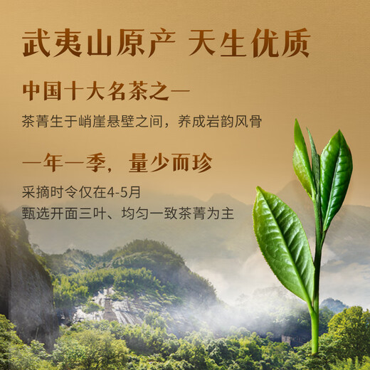 中茶茶叶乌龙茶福建武夷山大红袍岩茶节日送礼茶叶礼盒千山系列 180g*1盒