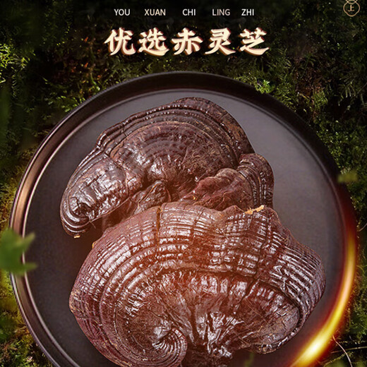 雷允上破壁灵芝孢子粉100g礼盒增强免疫力中老年人补品送长辈探病礼物 【总三萜11.5%】1盒装