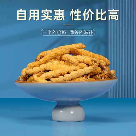 
Zangxitang Cordyceps sinensis Xindan Pure Meat Festival Cordyceps Affordable Family Tonics Large Pure Meat Festival 20g