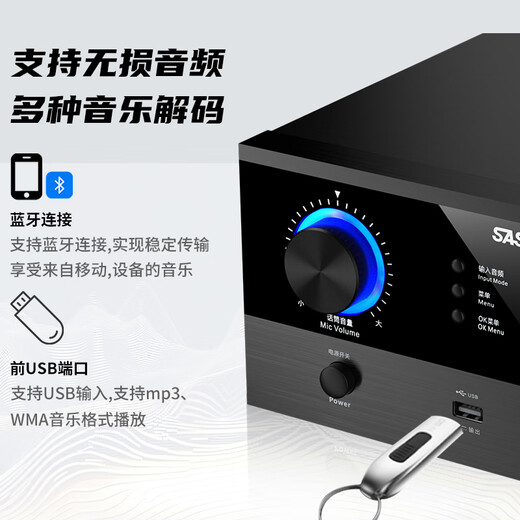 先科（SAST） G-300 功放机 家庭影院5.1声道AV功放机 高保真无线蓝牙家用卡拉ok功放