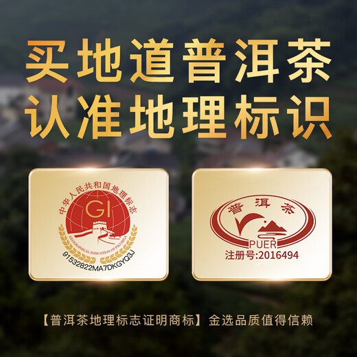盛茗世家普洱茶叶云南陈香熟茶小茶饼多罐礼盒装 节日送礼长辈领导