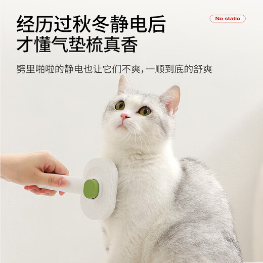 PETSTAR Pet Air Cushion Comb Dog Needle Comb Removes Floating Hair and Unknots Teddy Bichon Cat Special Comb