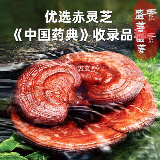 
Beijing Tongrentang Red Zhisheng Huoshan Break Wall Ganoderma lucidum Spore Powder and Resistance Middle-aged and Elderly Gift Bag 1 Box [10 Bags]