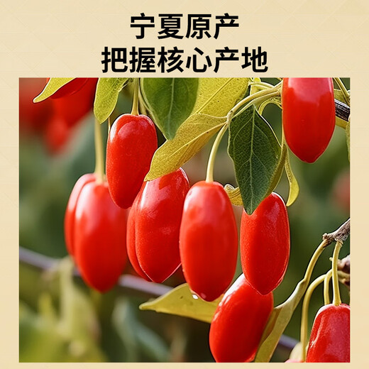 同仁堂品牌 北京同仁堂特优级红枸杞子500克正宗宁夏构枸己泡水泡酒