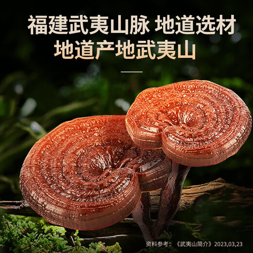 同仁堂（TRT）北京同仁堂总统破壁灵芝孢子粉 正品增强免疫力送长辈营养品礼盒 【30天量】升级款120粒
