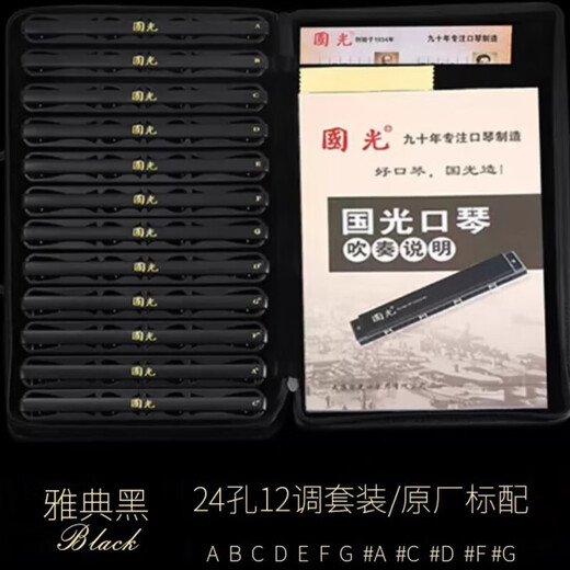 国光口琴套装7支12特别调#ABCDEFG调复音重音24孔专业演奏级成人 24孔 亮光黑7调套装 +全套赠品