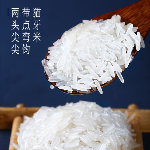 Rice frog 2024 new rice, cat tooth rice, long grain fragrant rice 10kg, indica rice, southern silk seedling rice, new rice in season 20Jin Jin is equal to 0.5kg