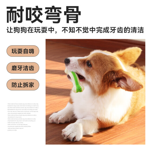 EETOYS Medium Curved Bone Dog Toy Molar Tooth Bite Cleaning Bone Labrador Golden Retriever Medium Dog Pet Supplies