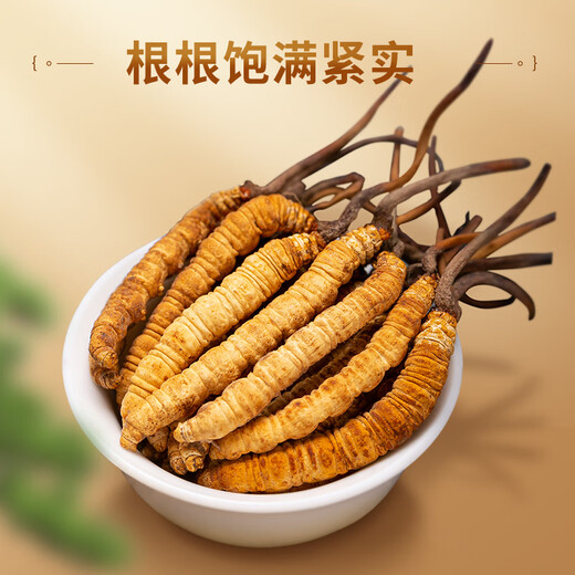 聚和泰 头茬冬虫夏草礼盒60管20g国庆中秋节日送父母长辈健康滋补营养品