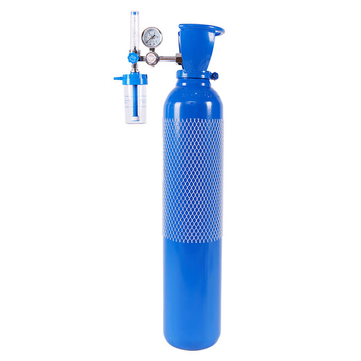 Portable oxygen cylinder medical oxygen tank plateau tourism home clinic small steel cylinder 10/15/40 liters pregnant women 10 liters oxygen cylinder YA