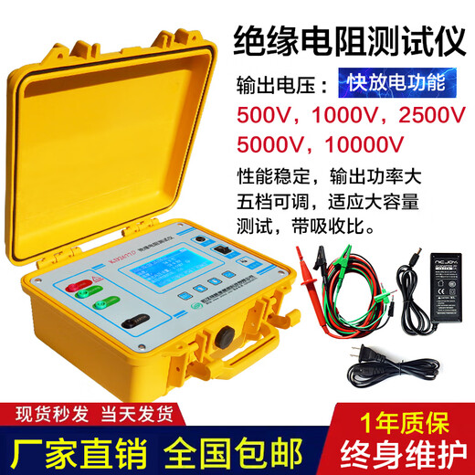 ZY2671C10000V数字电子兆欧表绝缘电阻测试仪绝缘高精度摇表 KD2677C (5000V)  含线 带吸收