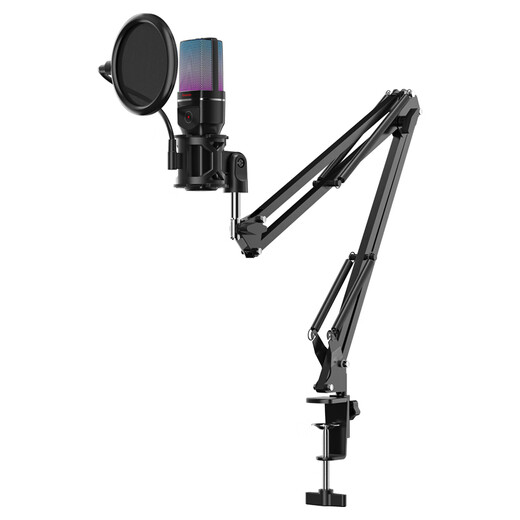 Newmine ZM08 wireless microphone computer mobile phone live broadcast desktop microphone built-in sound card live recording dubbing game video conferencing cantilever bracket