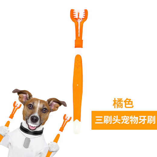 QianChongLe pet three-sided brush head toothbrush, finger braces, cat and dog brushing, cleaning oral teeth, tongue coating, tartar removal, soft hair, orange