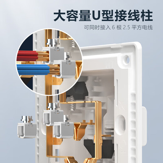 德力西（DELIXI）开关插座面板 CD229系列10A斜五孔插座10只装 哑光灰色