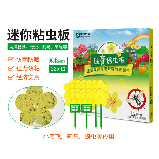 Zhongjie square flower-type armyworm board small flying insect yellow board double-sided armyworm trap flower household small black flying aphids 1 box 12 tablets