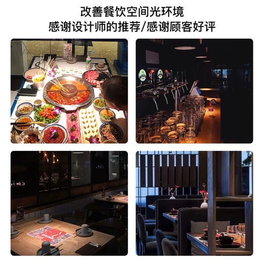 溥畔2700K高显指5W射灯灯泡e27螺口聚光灯杯PAR16火锅店射灯中山灯具 10W3000K高显Ra9738