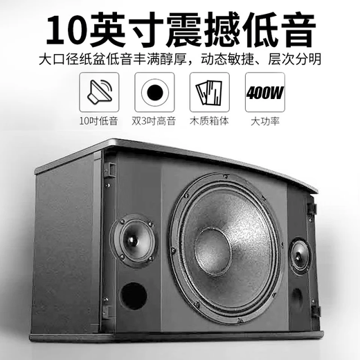 HYUNDAI现代家庭影院ktv音响套装家用k歌电脑电视客厅卡拉ok全套会议室卡包店铺专业功放音箱设备 【经典版】10吋音响套装