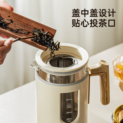 GREENIS tea kettle new pure titanium health kettle tea kettle office multifunctional household kettle portable mini single tea kettle