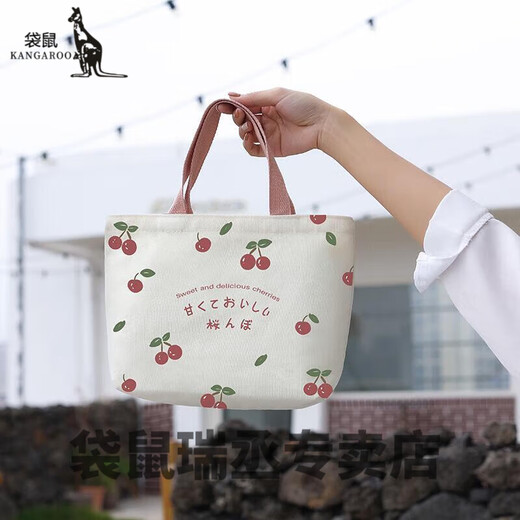 袋鼠小布包手提 手提包便当袋女帆布包2024新款饭盒袋时尚秋冬外出小 浩瀚星空