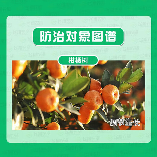 Guoguang Plant Source 2% Benzylaminopurine Rose Fruit Tree Flower Flowering and Germination Preserving Flower and Fruit Cytokinin 10m 100ml
