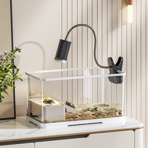 Pamper your turtle tank, eco-tank, pet breeding box, fish tank, plastic transparent newt, special for crawling pets, white model