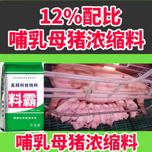 Seven times the 12% pig fattening rapid growth and weight gain concentrated feed for pig farms special nutritional mixing effect is more obvious than the premix 12% ratio of pregnant sows feed piglets