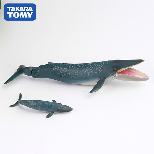 Dome Tomy Dome Kaamlia Simulate Animal Model Raccoon Flamingo Gorilla Shark Blue Whale Ocean Toy [AS-35] Cat Bear (avec feuilles de bambou) 11949