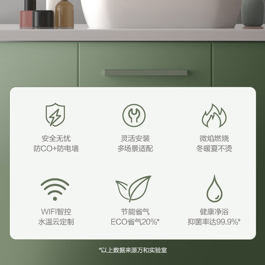 Vanward balancing machine 12 liters of natural gas for gas water heater, 15% national subsidy, can be installed with double protection in the bathroom, ECO energy saving JSG24-WE3W12