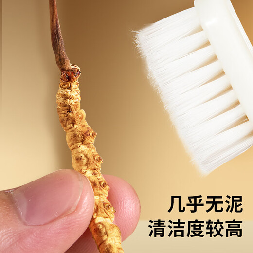Lei Yun Shang Cordyceps sinensis 3.2 Roots/G 10g Alrededor de 32 cajas de regalo Cordyceps Cajas de regalo para el líder y los ancianos