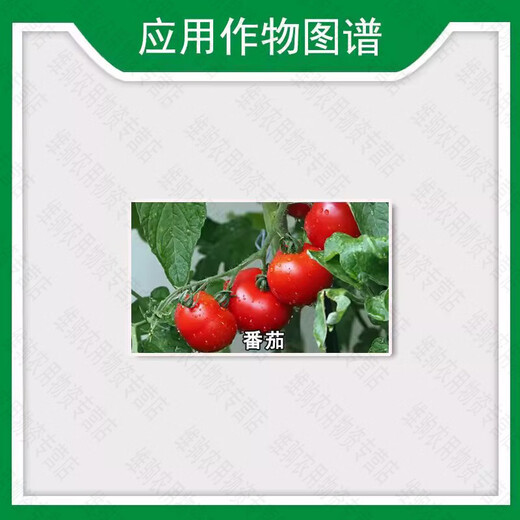 Guoguang non-falling and anti-falling agent 24 24-drop sodium salt plant growth regulator 2.4-d tomato flower and fruit 1 1g*10 bags