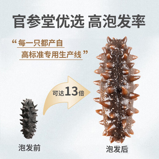 Guanshentang Dalian light-dried sea cucumber dry goods Zhizhen 250g 20-35 pieces bottom-broad sea cucumber seafood gift box