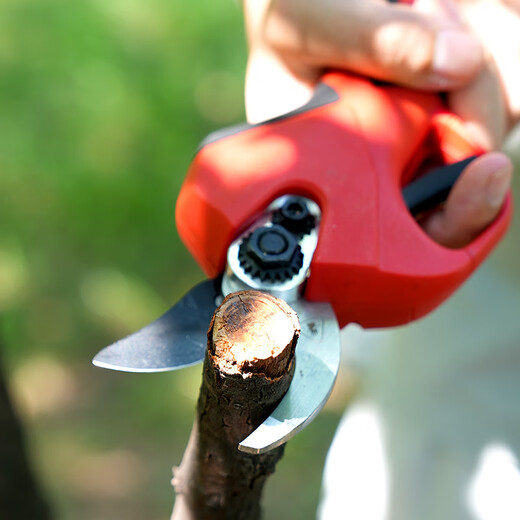 Zhongnongle electric pruning shears lithium battery shears branch scissors fruit tree electric scissors household rechargeable thick branch electric scissors 6630-3 cm 3AH two electricity and one charge